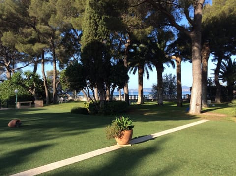 Garden view
