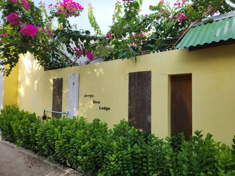 Property building, Garden, Garden view