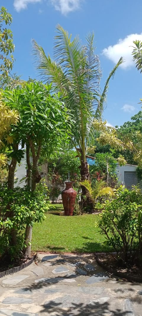 Natural landscape, Garden view, Area and facilities