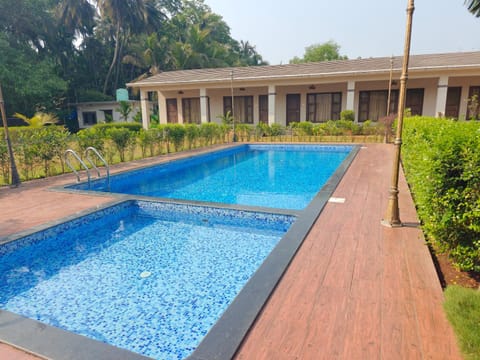 Day, Garden, Pool view, Swimming pool