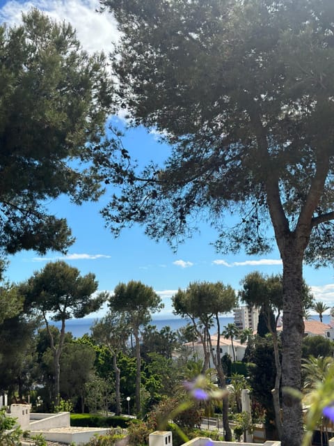Garden view, Sea view