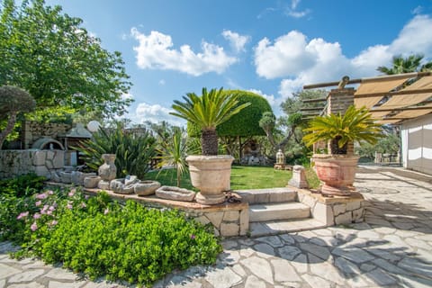 Spring, Day, Garden, Garden view