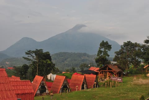 Natural landscape