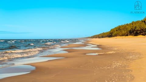 Nearby landmark, Beach