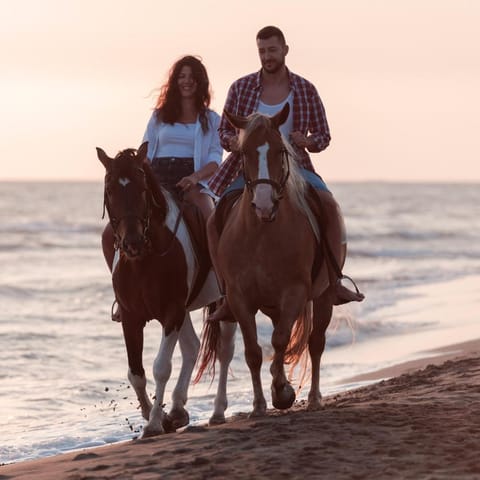 People, Natural landscape, Horse-riding, Beach, Animals