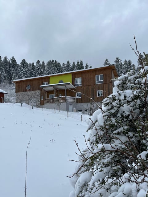 Les gîtes de la bergerie Apartment in Xonrupt-Longemer