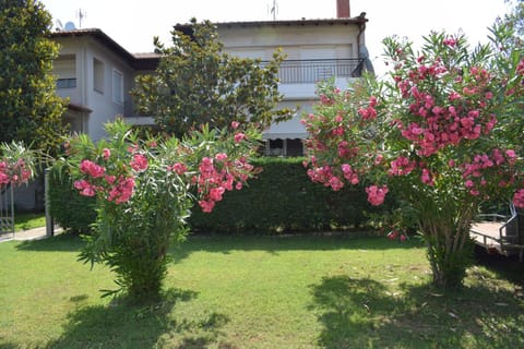 Property building, Spring, Day, Garden, Garden view