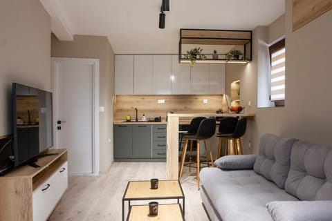 TV and multimedia, Kitchen or kitchenette, Living room, Seating area, Dining area, pet friendly, stove