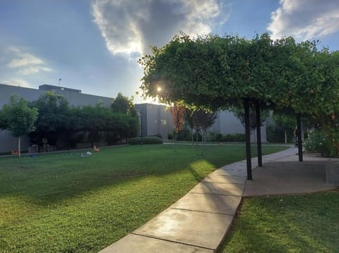 Garden view