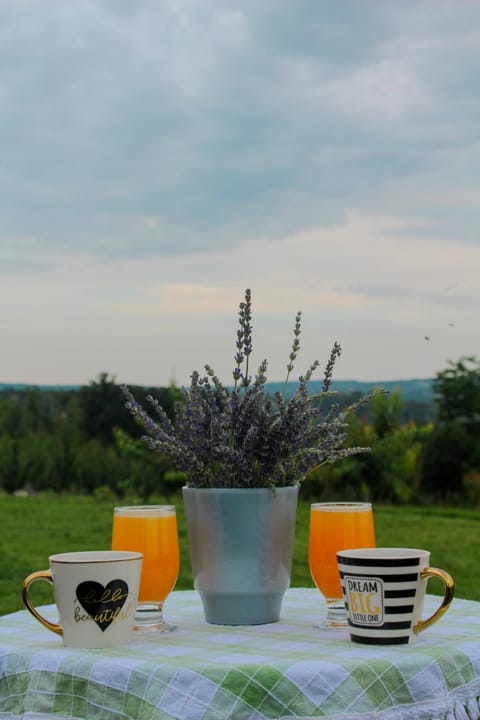 Villa Sladjana Villa in Serbia