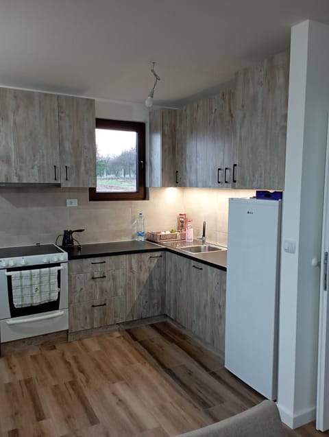 Kitchen or kitchenette, pet friendly, stove