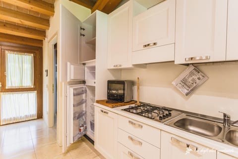 Kitchen or kitchenette, minibar, stove