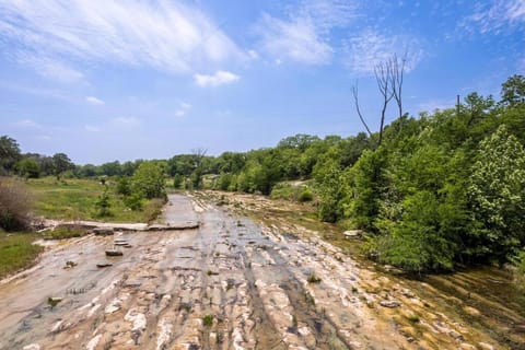 NEW! Dragonfly at Firefly Grove w/ River Access House in Wimberley