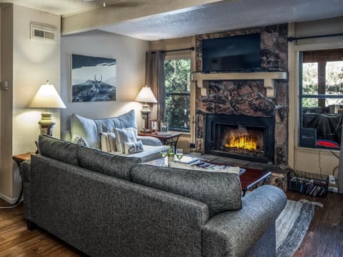 TV and multimedia, Living room, Seating area, fireplace, furniture, air conditioner
