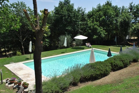 Natural landscape, Garden view, Swimming pool, sunbed