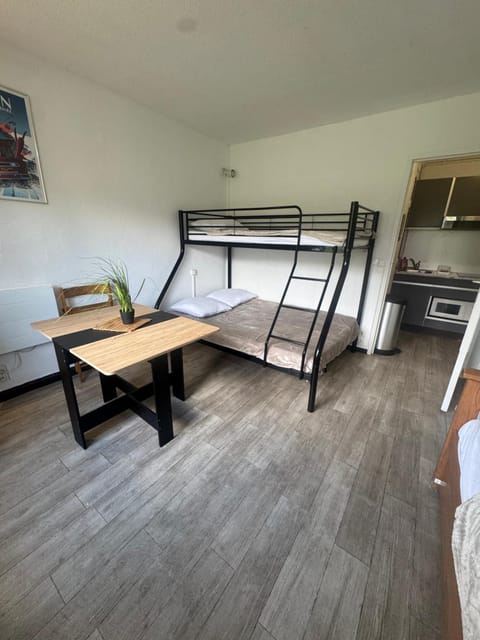 Bed, Kitchen or kitchenette, Photo of the whole room, Dining area, Bedroom, bunk bed