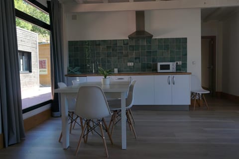 Kitchen or kitchenette, stove
