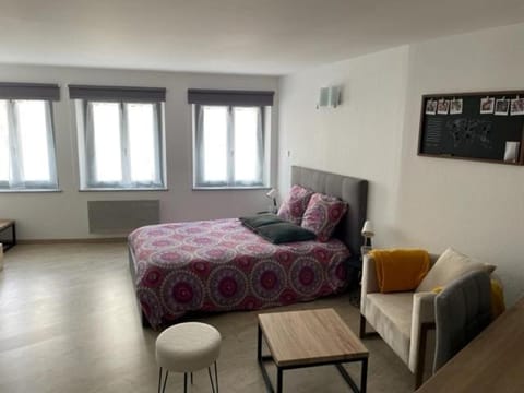 F1 Centre Historique Saint Valbert Apartment in Vosges