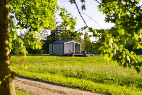 Day, Garden view