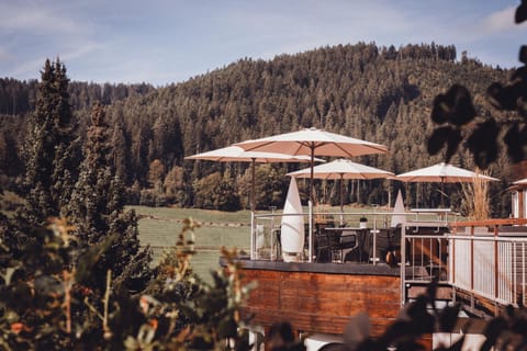 Garden, View (from property/room), Garden view