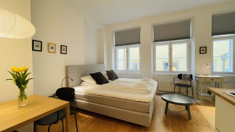 Kitchen or kitchenette, Living room, Dining area, Bedroom