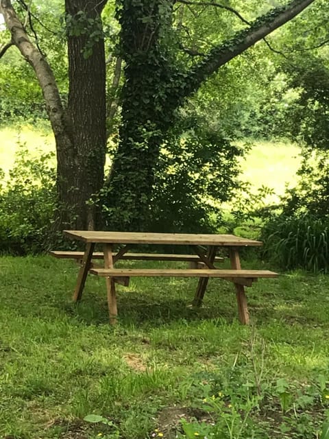 Réveil aux chants des oiseaux Apartment in Normandy