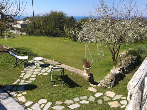 Activities, Garden, Garden view