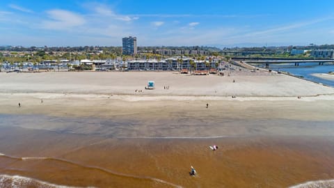 211B - Harbor, Seals, Birds, Night Lights, Steps to the Sand! House in Oceanside