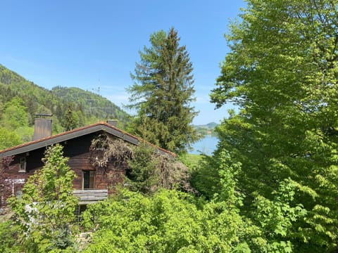 Apartment Perle am See - Wohnen auf Zeit - Homeoffice - nah am See - buchbar ab 28 Nächte Apartment in Schliersee