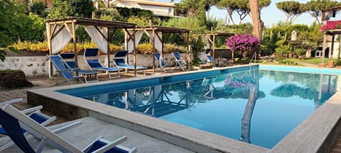 Patio, Garden view, Swimming pool, sunbed