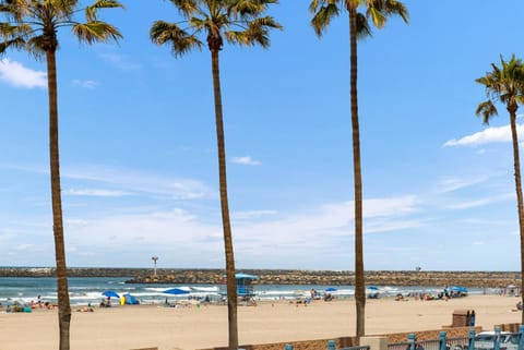 214A - Beach and Water View, Steps to the Sand House in Oceanside