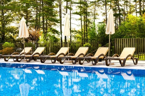 sunbed