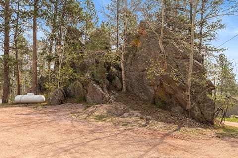 Day, Natural landscape