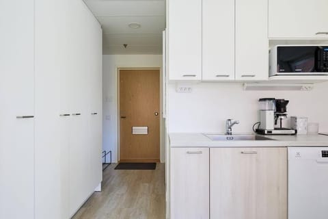 Fleminginkatu Apartment in Turku