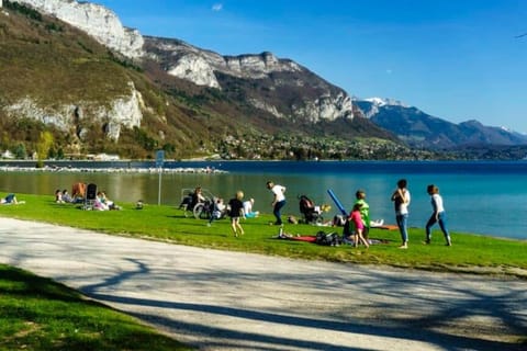 Entre Lac et Montagne Apartment in Annecy
