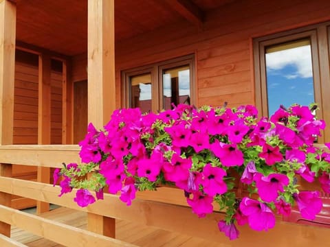 Domki Letniskowe Dominika House in West Pomeranian Voivodeship, Poland