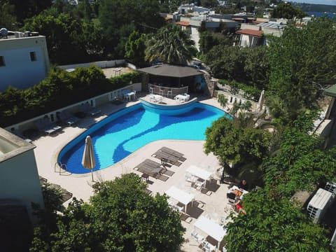 Property building, Day, Natural landscape, Pool view, sunbed