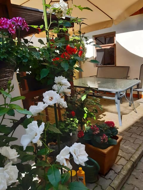 Patio, Seating area