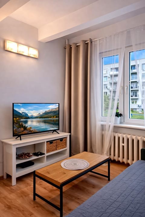 TV and multimedia