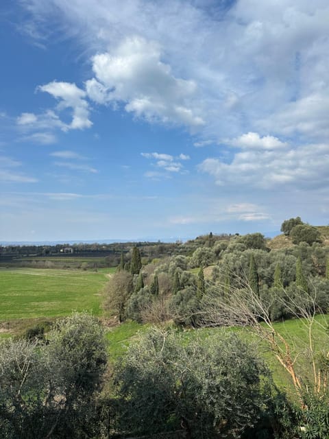 Natural landscape