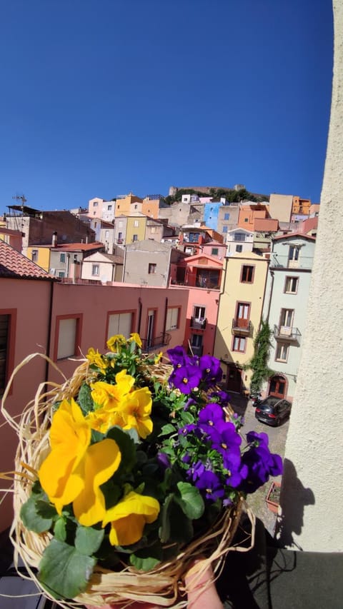 Rooftop Panoramic Terrace Historic Center Bosa BBQ House in Bosa