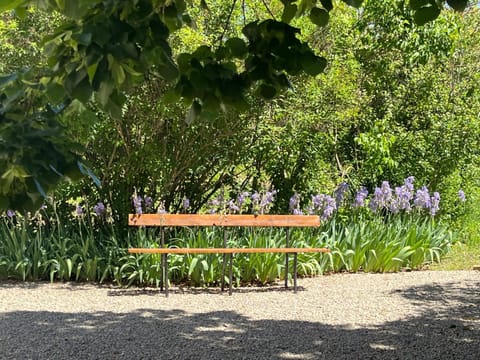 Natural landscape, Garden, Garden view