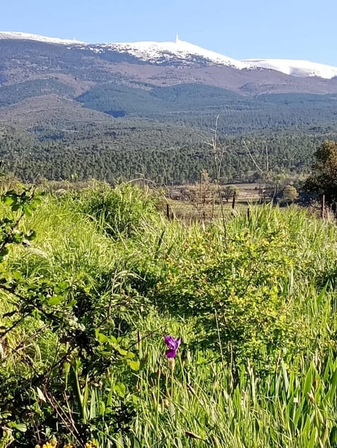 Chambre d'hôtes chez Gwennaelle Bed and Breakfast in Bédoin