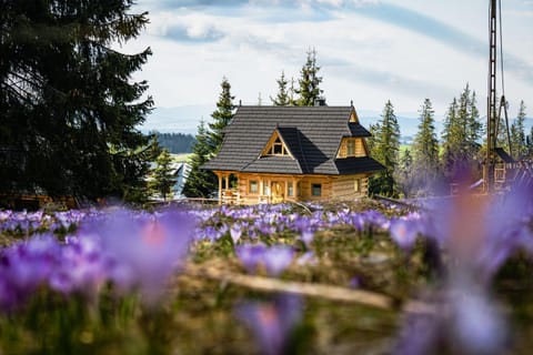 Property building, Spring, Day, Natural landscape, Garden, Garden view