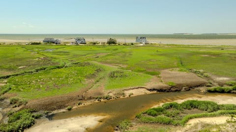14463 - Waterfront Ocean View Deck Kayak WasherDryer and Central AC House in North Eastham