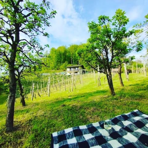 Spring