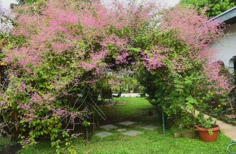 Garden, Garden view