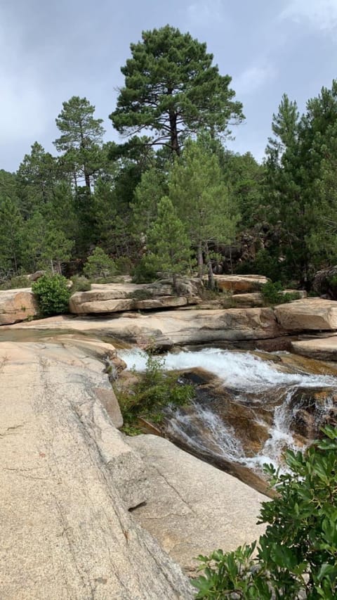 Natural landscape, River view