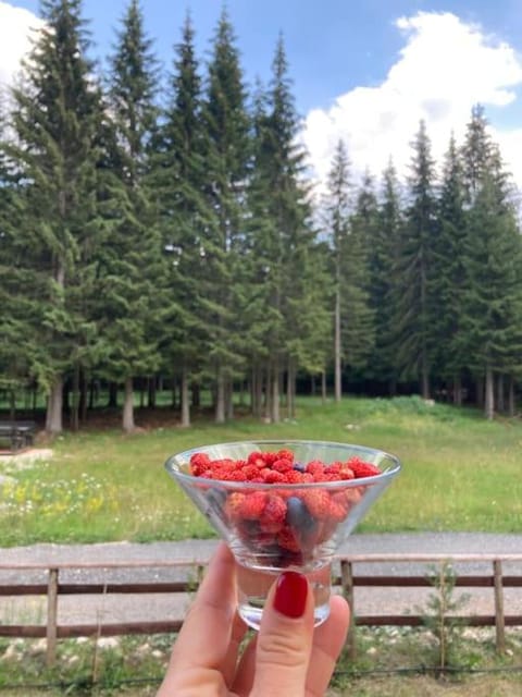 Stojovic house House in Montenegro