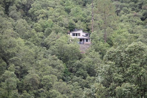 Property building, Natural landscape